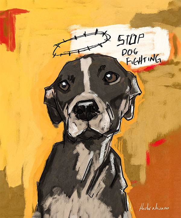 Dog victim of dog fighting