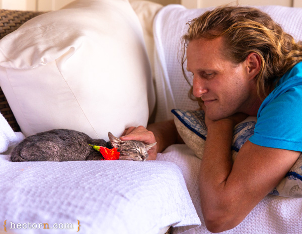 Young man caressing a kitten